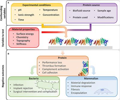 Controlling Experimental Parameters to Improve Characterization of Biomaterial Fouling